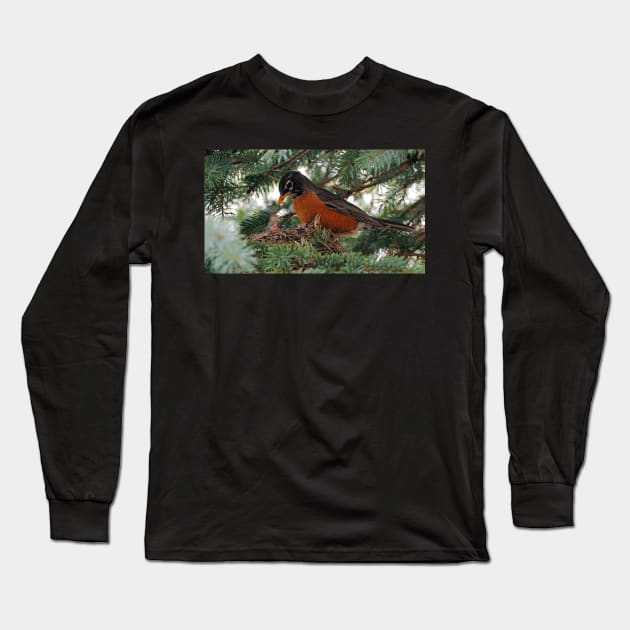 Momma American Robin In Her Nest Long Sleeve T-Shirt by BackyardBirder